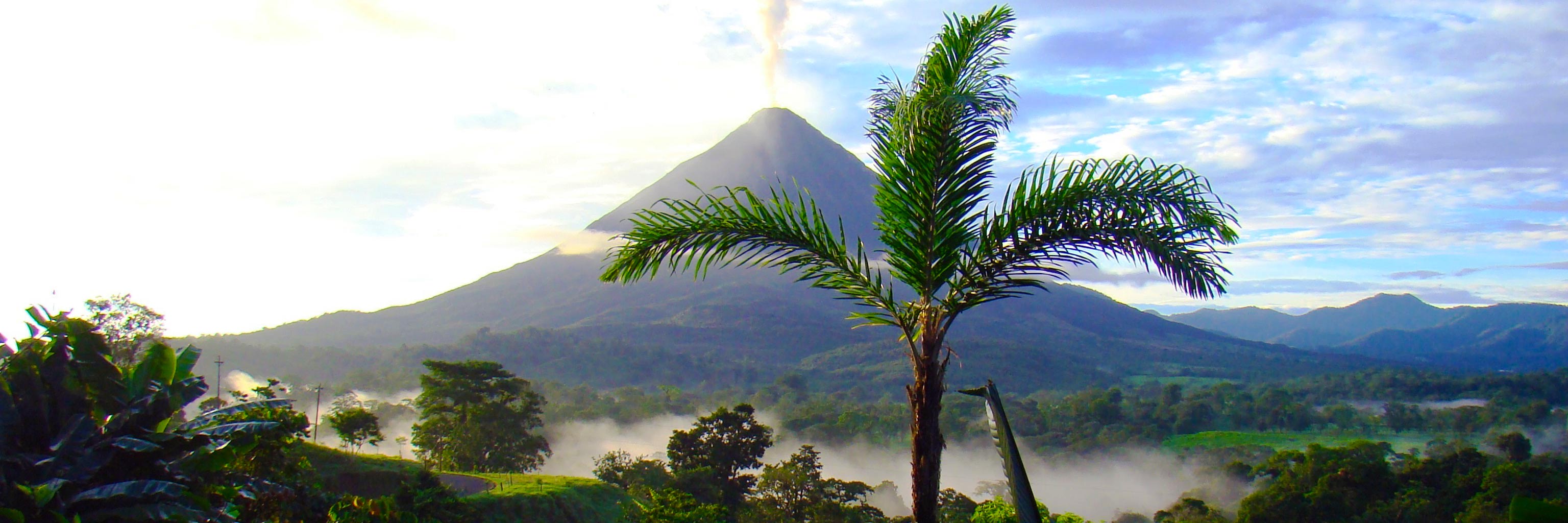 Palm tree in front of a volcano 